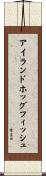 アイランドホッグフィッシュ Scroll