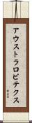 アウストラロピテクス Scroll