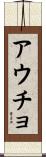 アウチョ Scroll