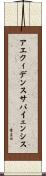 アエクィデンスサパイェンシス Scroll