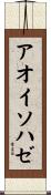 アオイソハゼ Scroll