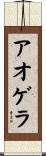 アオゲラ Scroll