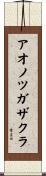 アオノツガザクラ Scroll