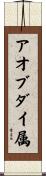 アオブダイ属 Scroll