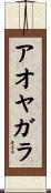 アオヤガラ Scroll
