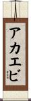 アカエビ Scroll