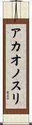アカオノスリ Scroll