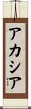 アカシア Scroll