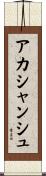 Akashanshu Scroll