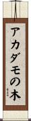 アカダモの木 Scroll
