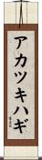 アカツキハギ Scroll