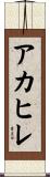 アカヒレ Scroll