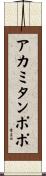 アカミタンポポ Scroll