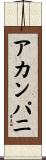 アカンパニ Scroll
