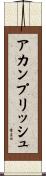 アカンプリッシュ Scroll