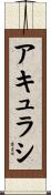 アキュラシ Scroll