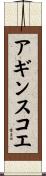 アギンスコエ Scroll