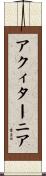 アクィターニア Scroll