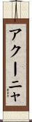 アクーニャ Scroll