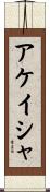 アケイシャ Scroll