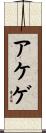 アケゲ Scroll
