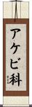 アケビ科 Scroll