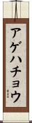 アゲハチョウ Scroll
