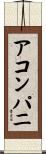 アコンパニ Scroll