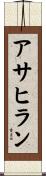アサヒラン Scroll