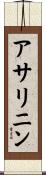 アサリニン Scroll