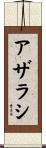 アザラシ Scroll