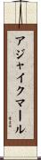 Ajaykumar Scroll