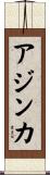 Ajinkya Scroll