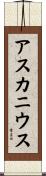 アスカニウス Scroll