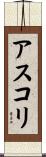 アスコリ Scroll