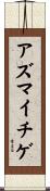 アズマイチゲ Scroll