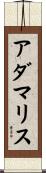 Adamaris Scroll