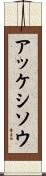 アッケシソウ Scroll
