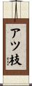 アツ枝 Scroll