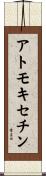 アトモキセチン Scroll