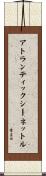 アトランティックシーネットル Scroll