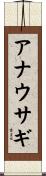 アナウサギ Scroll