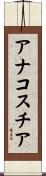アナコスチア Scroll