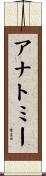 アナトミー Scroll
