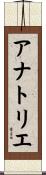 アナトリエ Scroll