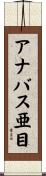 アナバス亜目 Scroll