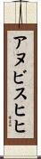 アヌビスヒヒ Scroll