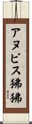 アヌビス狒狒 Scroll