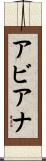 Avianna Scroll
