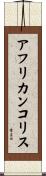 アフリカンコリス Scroll
